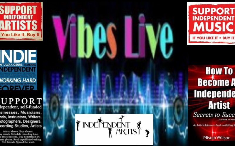 VIBES-LIVE RADIO INDEPENDANT ARTIST REVIEW WITH ROBINLYNNE AND SHAZMAN